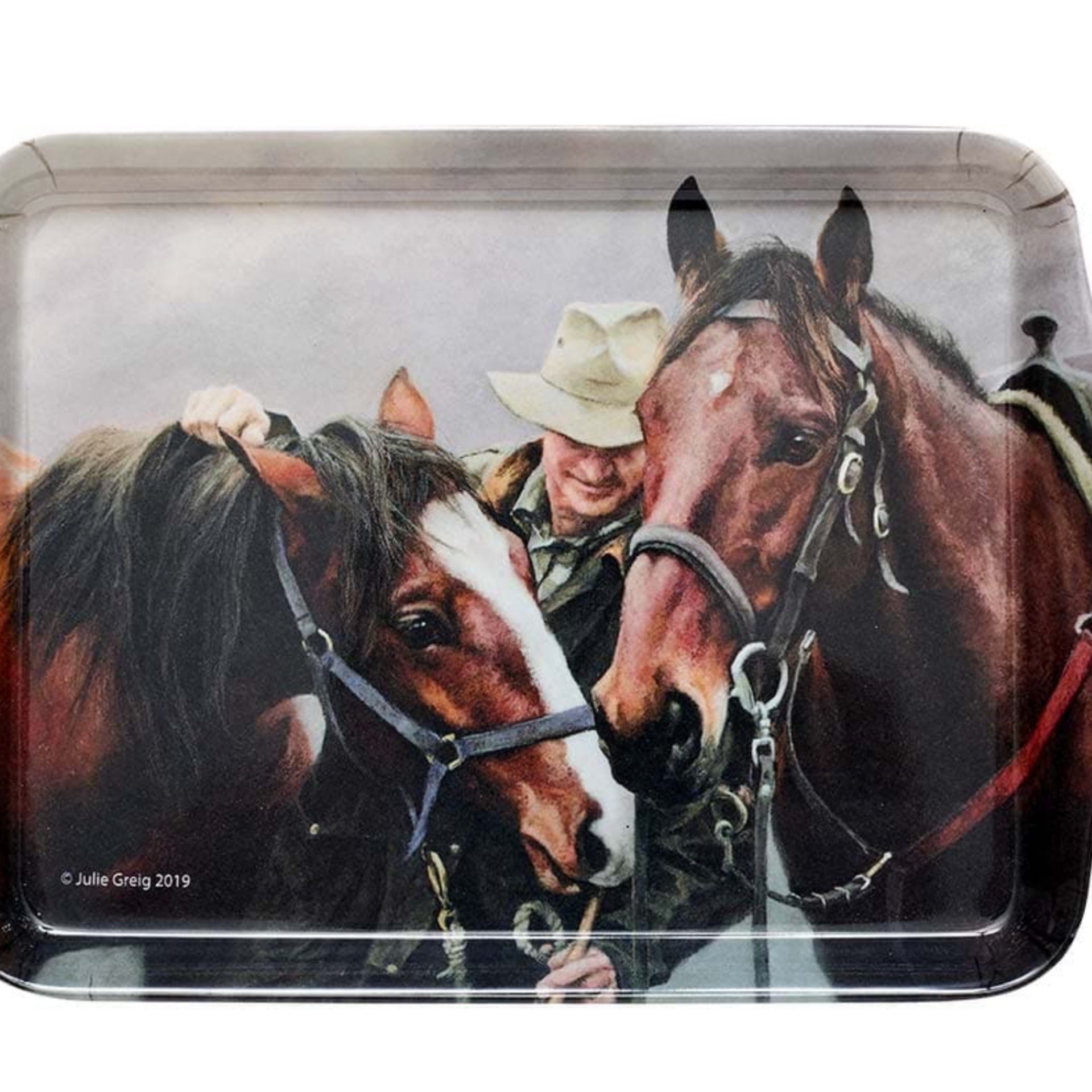 Ashdene Best Mates Tray Bush Basics